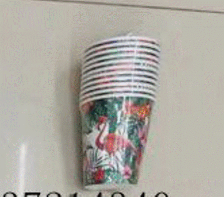 Tropical Flamingo Cups (10)