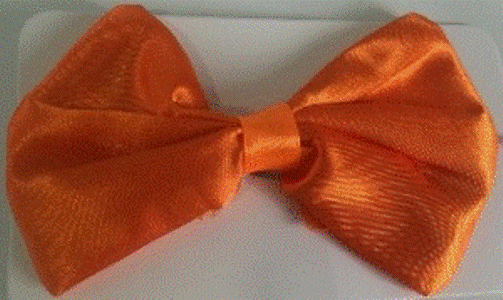 Bowtie - Orange