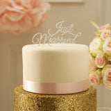 Pastel Perfect CakeTopper Just Married Silver